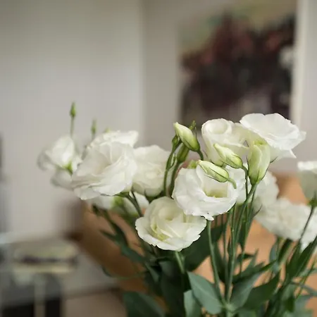 Apartman Nino Milánó